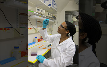 A student examines a protein sample for gel electrophoresis