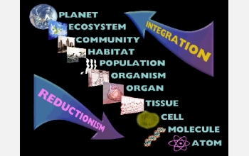 Biocomplexity Illustrated