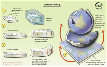 Illustrating how a 2-D sheet can bend into a 3-D shape