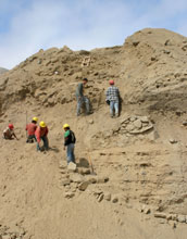 Color-enhanced image of image on gourd fragment, excavated in Peru