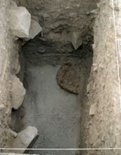 Cane bundle lies at bottom of pit in Peru