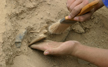 Graduate student uncovers clay tablets from dig site in Peru