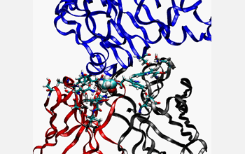 New Model to Improve Drug Effectiveness