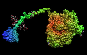 Improving Biomass Conversion