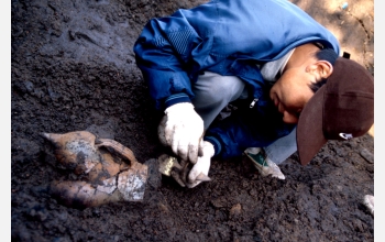 Excavation of tripod vessel