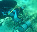 Diver deploying a metal pH sensor near coral reef