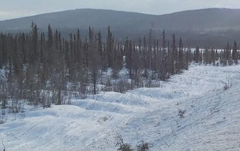 Frozen landscape