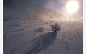 Winter weather in the Gallatin Canyon which borders Yellowstone National Park