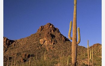 Southwest desert scape