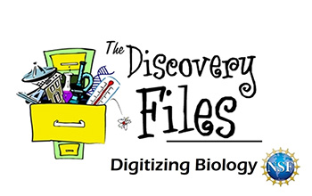 overstuffed filing cabinet with text The Discovery Files