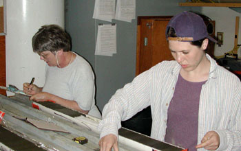 Two scientists working in a lab