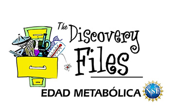 overstuffed filing cabinet with text The Discovery Files