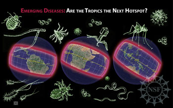 Illustration of bugs with map of tropics