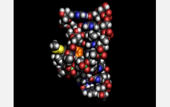 Model of esperamicin A1 with the warhead portion displayed in orange