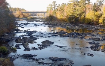 cape fear river basin