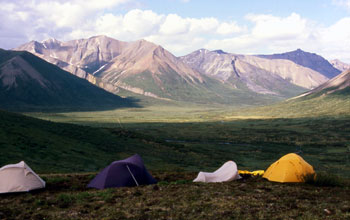 A research field site in the MacKenzie Mountains, Northwest Territories, Canada