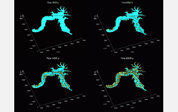 Water surface elevation during an ebb tide