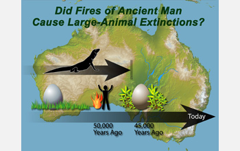 A 140,000-year dietary record of flightless birds implicates diet change and fire in extinctions.