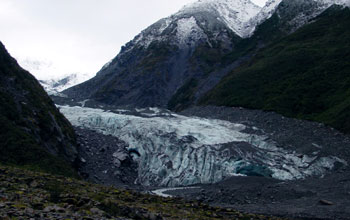 Fox Glacier, New Zealand