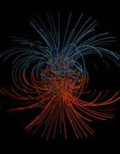 Geodynamo simulation of magnetic field lines