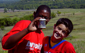 Students view captured grasshopper as part of the Konza Prairie LTER Schoolyard project.