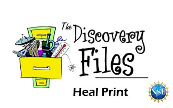 overstuffed filing cabinet with text The Discovery Files