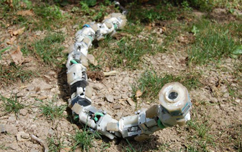 snake robot on the ground