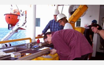 Collecting sediment samples drilled from the ocean floor onboard drillship