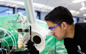 researcher looking at equipment