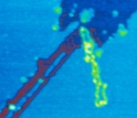 Molecules on a mica surface.