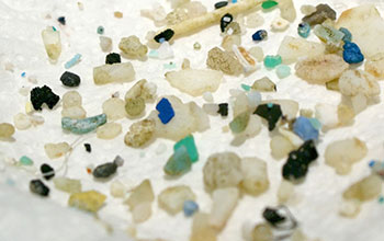 microplastics