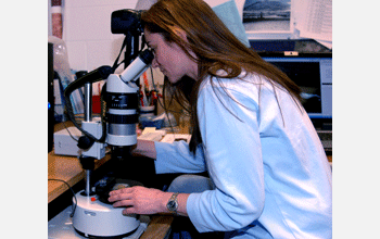 Studying sediment under a microscope