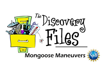 overstuffed filing cabinet with text The Discovery Files