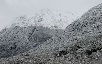 Mountain on South Island, NZ