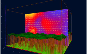 This figure presents a virtual reality visualization of the RAFLES model results