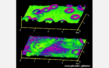 Infrared, near-field microscopic image of polystyrene-poly (dimethylsiloxane) (PS-PDMS) block