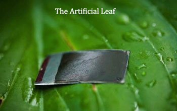 artificial leaf