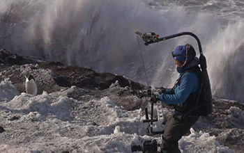 woman in waterfall studying penguins