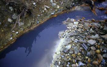 Small rivers and ponds of red and blue colored stinking water