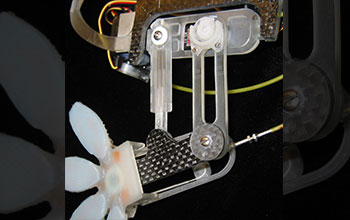 Close up of underside of limb on Stickybot, a gecko-inspired robot that climbs