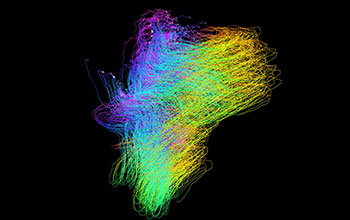 Simulation in 3-D of oil flow through water, based on computational fluid dynamics simulations