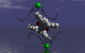 Set of different molecules meet, exchange electrons, then disassemble due to chloride ions present