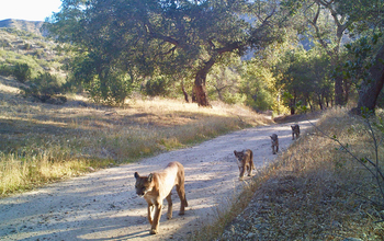 Irvine Ranch Conservancy/Orange County Parks