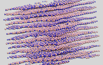 Microstructure model of radiation-damaged hexagonal boron nitride