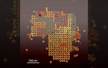 A colored atomic force microscope image of self-assembled random tree structures on surface of DNA tile arrays