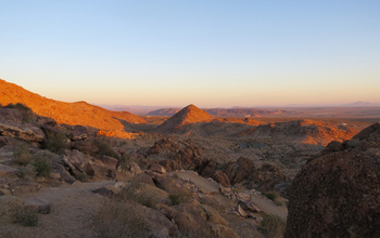 Joshua Tree National Park