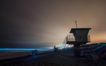 Bioluminescence from red tide lights the waves blue on a beach in San Diego