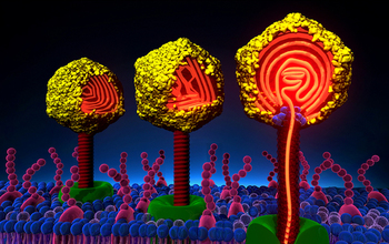 Viruses inject DNA into host cell synchronously or randomly