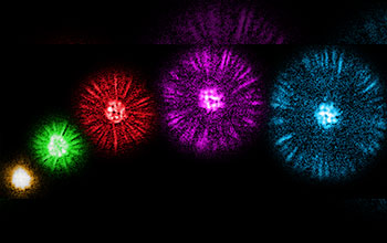 Jets of atoms shoot off from a Bose-Einstein condensate (the central disc) like fireworks