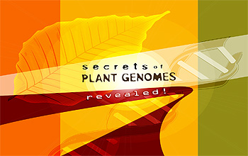 Graphic with text Secrets of Plant Genomes Revealed!